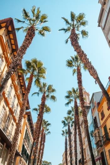 The Best Things to Do in Malaga